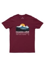 Camiseta Masculina Patagônia Bordô