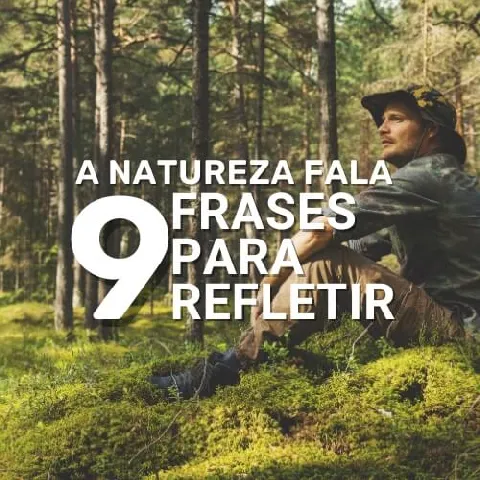 Frases de natureza para refletir